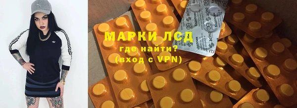 спайс Алзамай