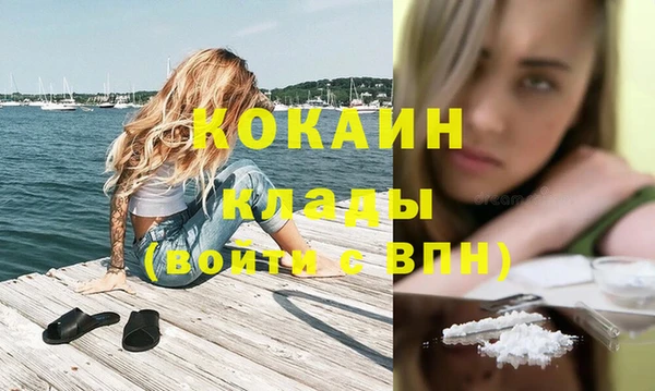 спайс Алзамай
