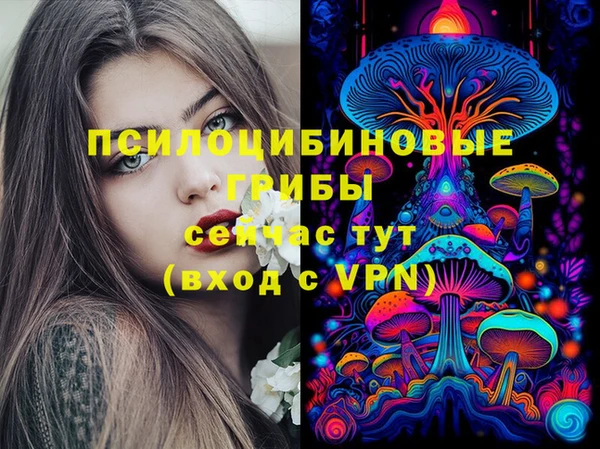 спайс Алзамай