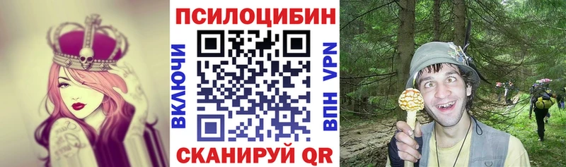 Псилоцибиновые грибы MAGIC MUSHROOMS  купить наркотик  Цоци-Юрт 